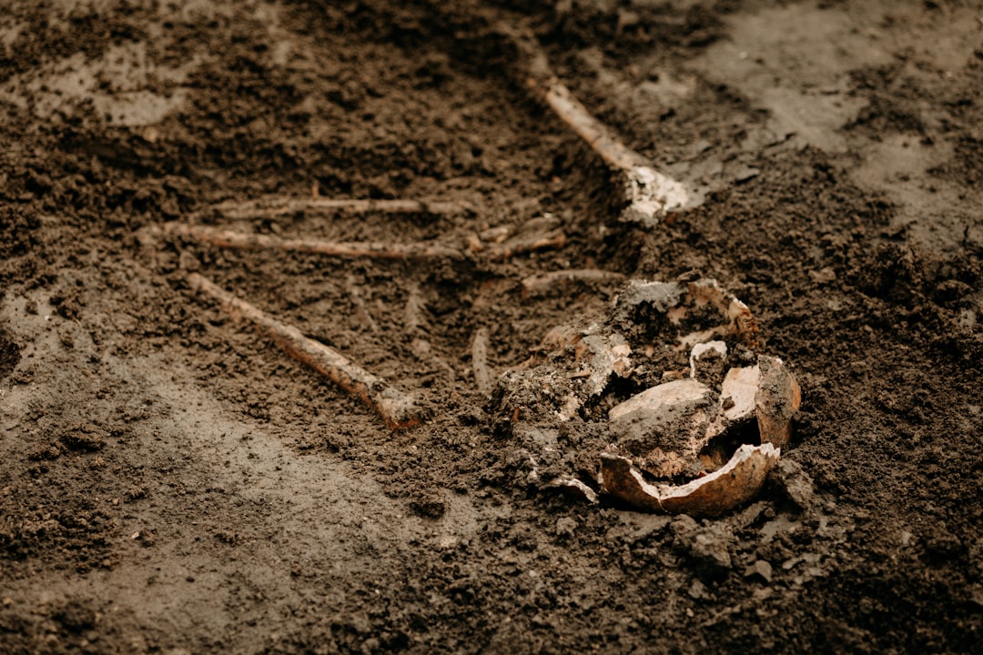Photo archeologiczne
